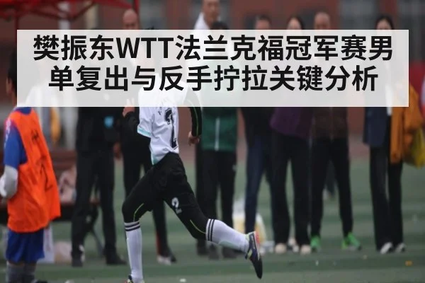 樊振东WTT法兰克福冠军赛男单复出与反手拧拉关键分析